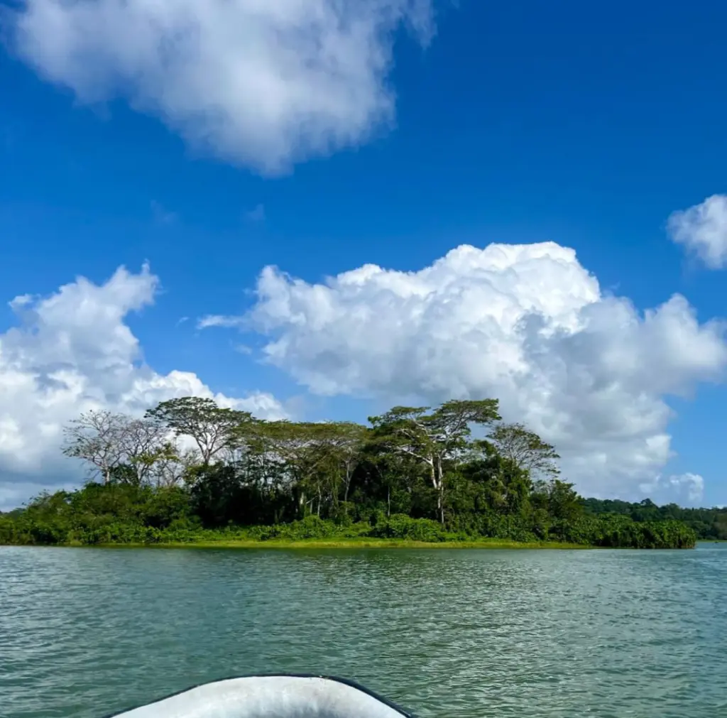 WhatsApp Image 2025-06-17 at 2.56.57 PM (1).webp