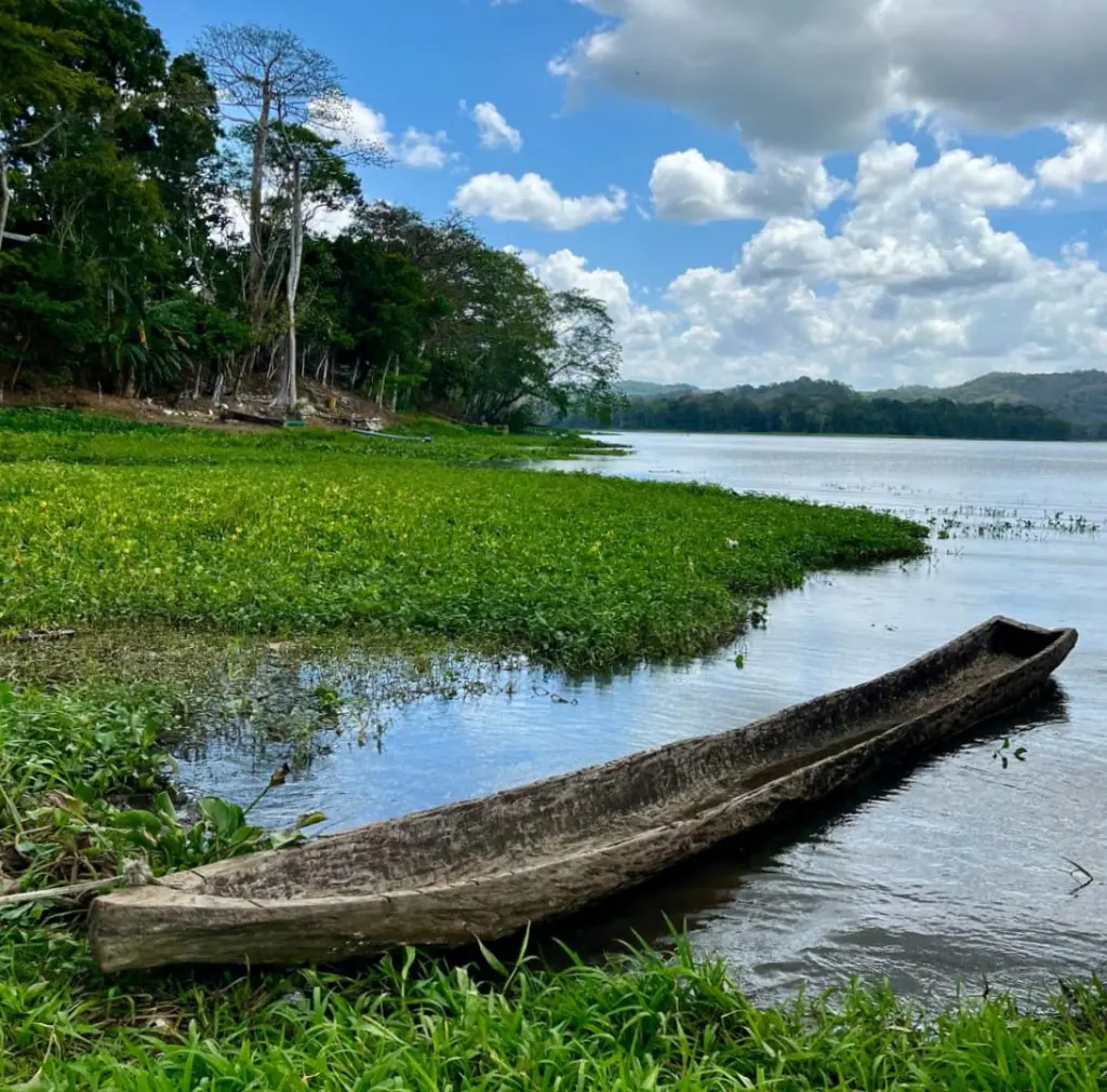 WhatsApp Image 2025-06-17 at 3.29.41 PM (1).webp