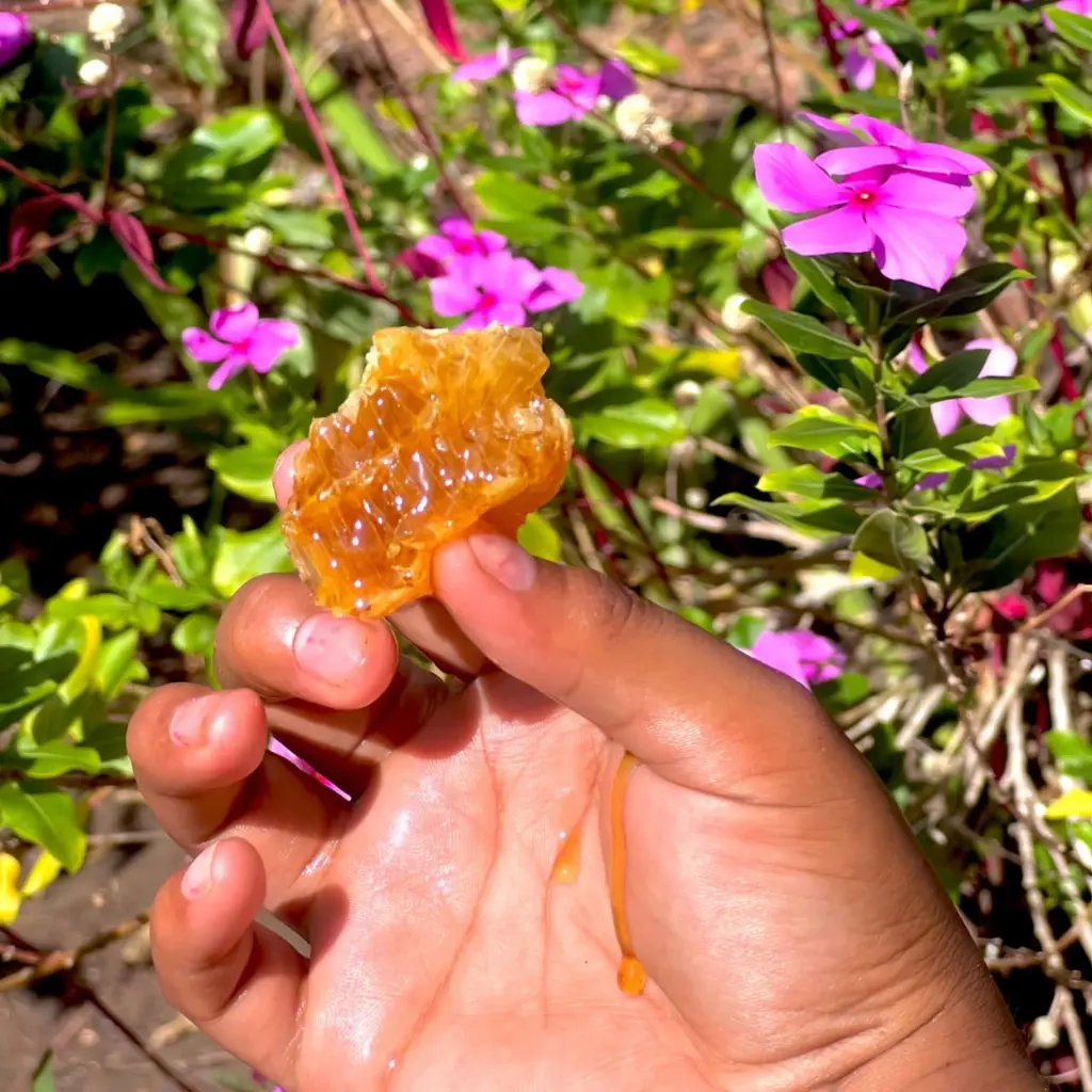 WhatsApp Image 2025-08-29 at 1.15.47 PM (1).webp