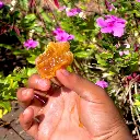 WhatsApp Image 2025-08-29 at 1.15.47 PM (1).webp