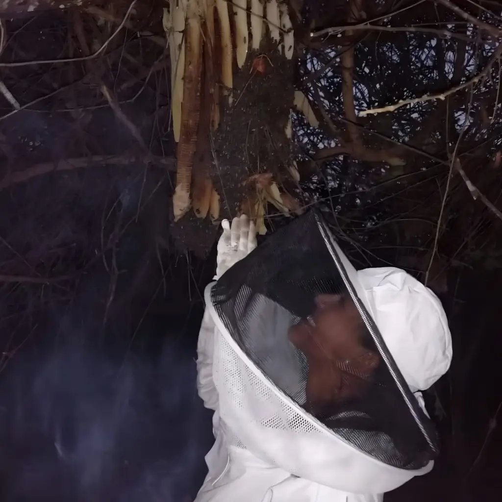 WhatsApp Image 2025-08-29 at 1.15.50 PM (1).webp