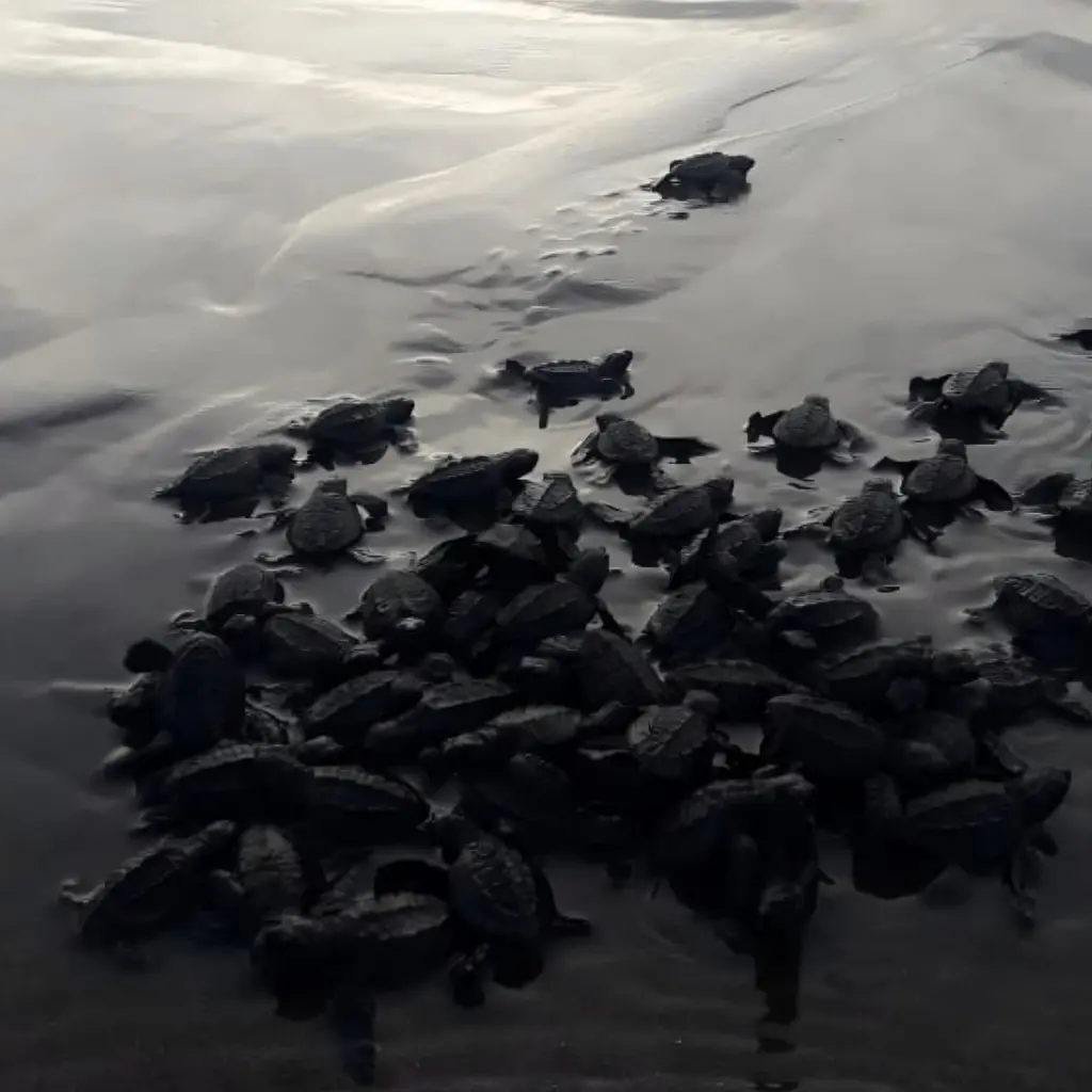 WhatsApp Image 2025-08-31 at 1.25.43 AM (2).webp