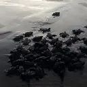 WhatsApp Image 2025-08-31 at 1.25.43 AM (2).webp