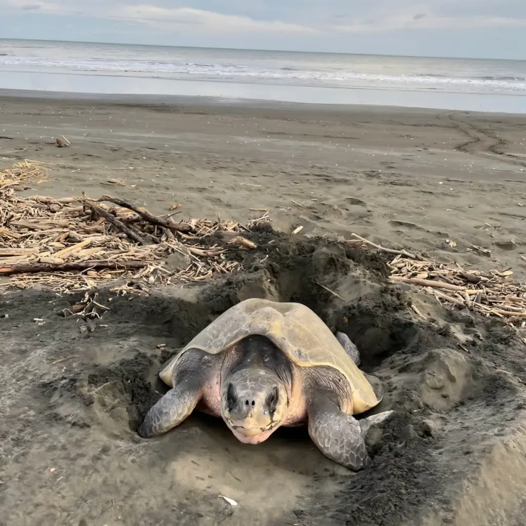 WhatsApp Image 2025-08-31 at 1.25.43 AM (1).webp