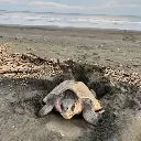 WhatsApp Image 2025-08-31 at 1.25.43 AM (1).webp