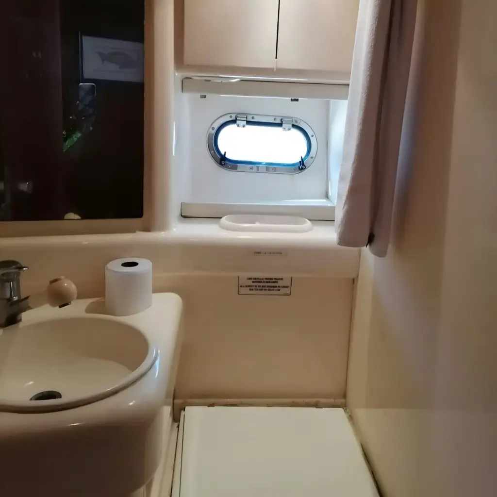 WhatsApp Image 2025-12-29 at 2.07.02 PM.webp