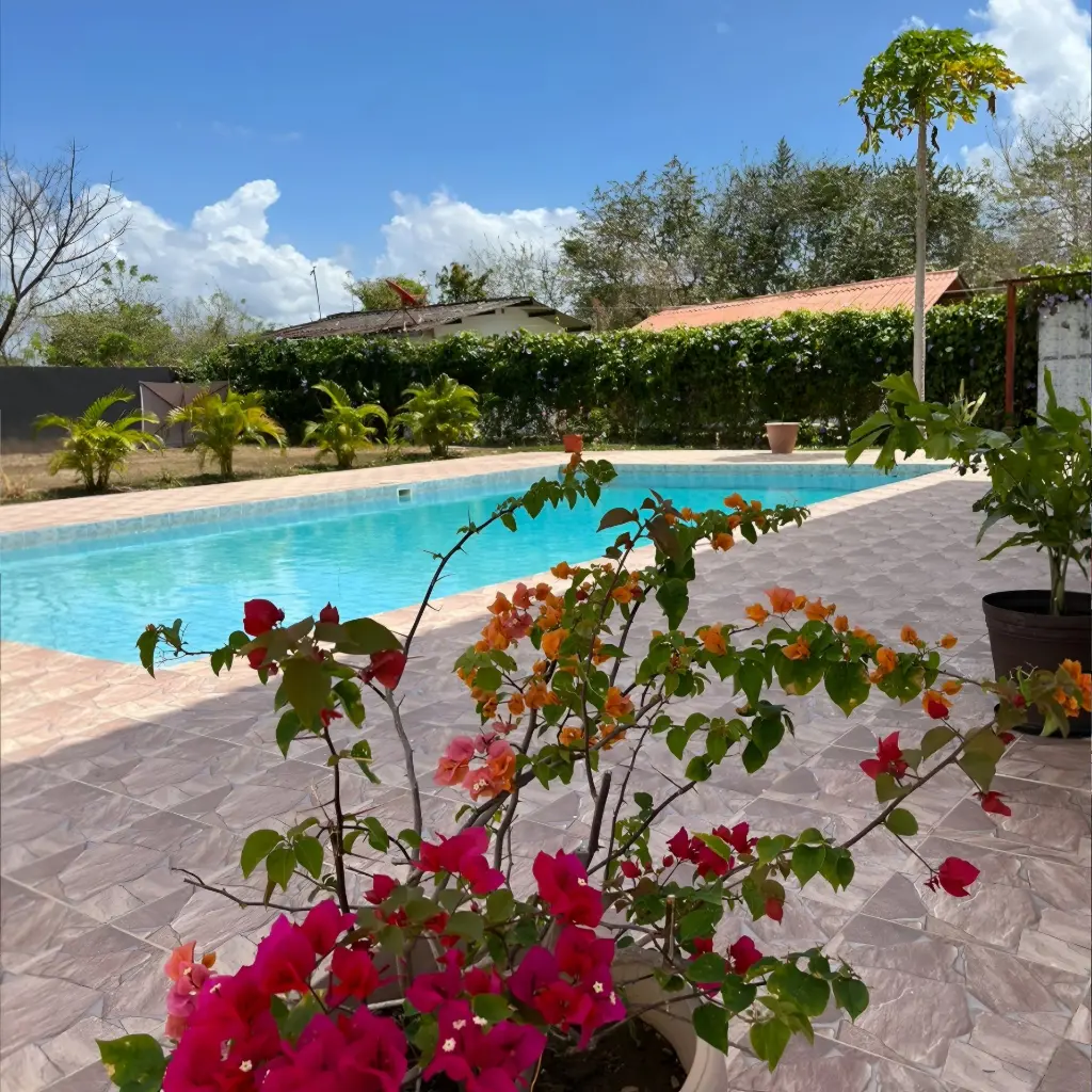 WhatsApp Image 2025-07-11 at 9.54.47 PM (2).webp