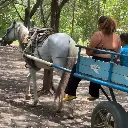 Tour en carreta tradicional - Isla Cañas