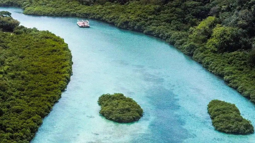 Tour Venas Azules, Playa Blanca Portobelo.