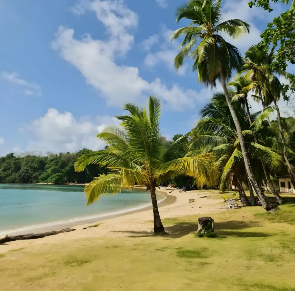 Tour por el Caribe en Isla Grande