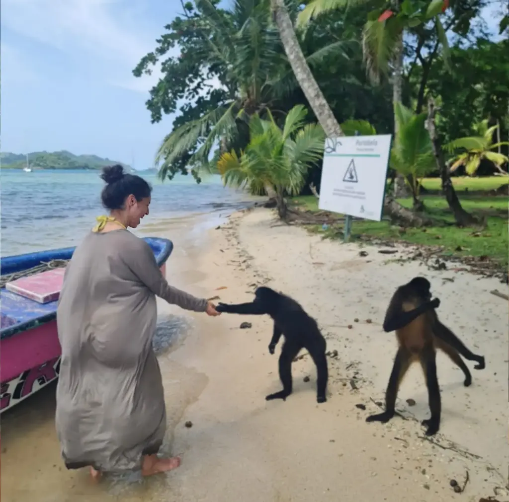 Tour por el Caribe 5 Islas