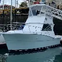 Viking 41" - Capacidad 12 Personas
